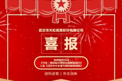 熱烈祝賀公司創新項目入選《武漢中小企業專精特新案例集》